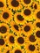 Timeless Treasures Sunflower Farm Packed Sunflowers Sunflower Fabric